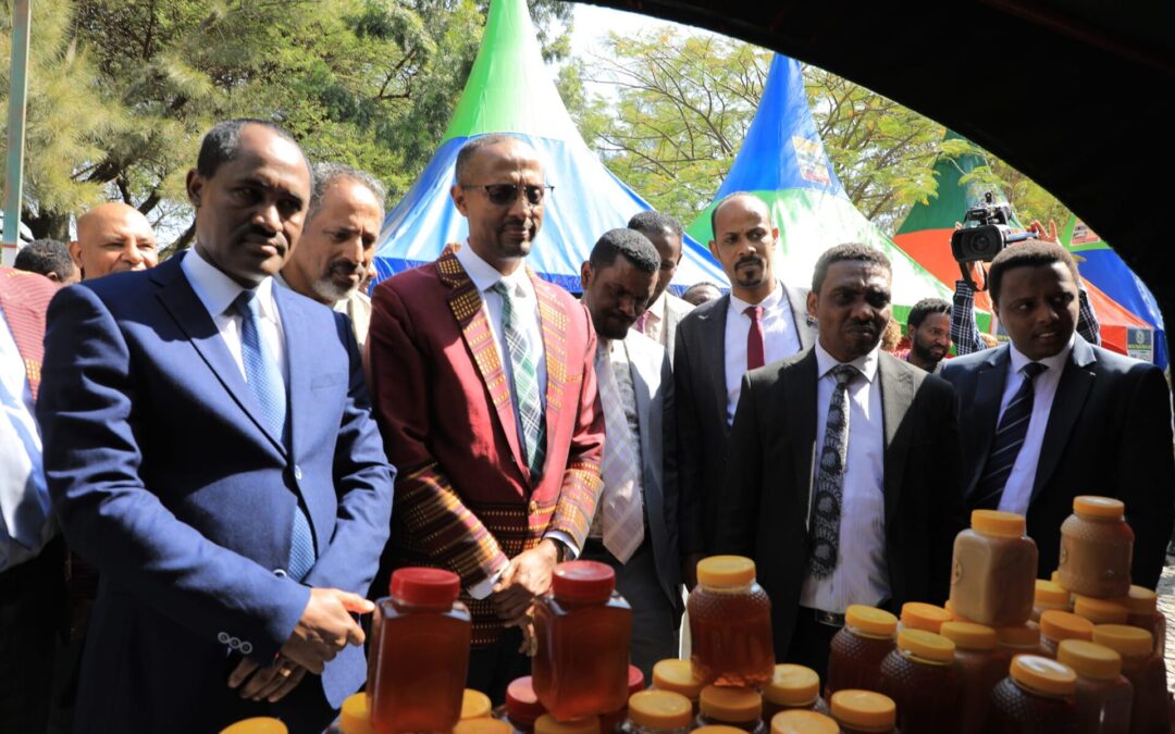 INVESTMENT PROMOTION EVENT IN HAWASSA, ETHIOPIA