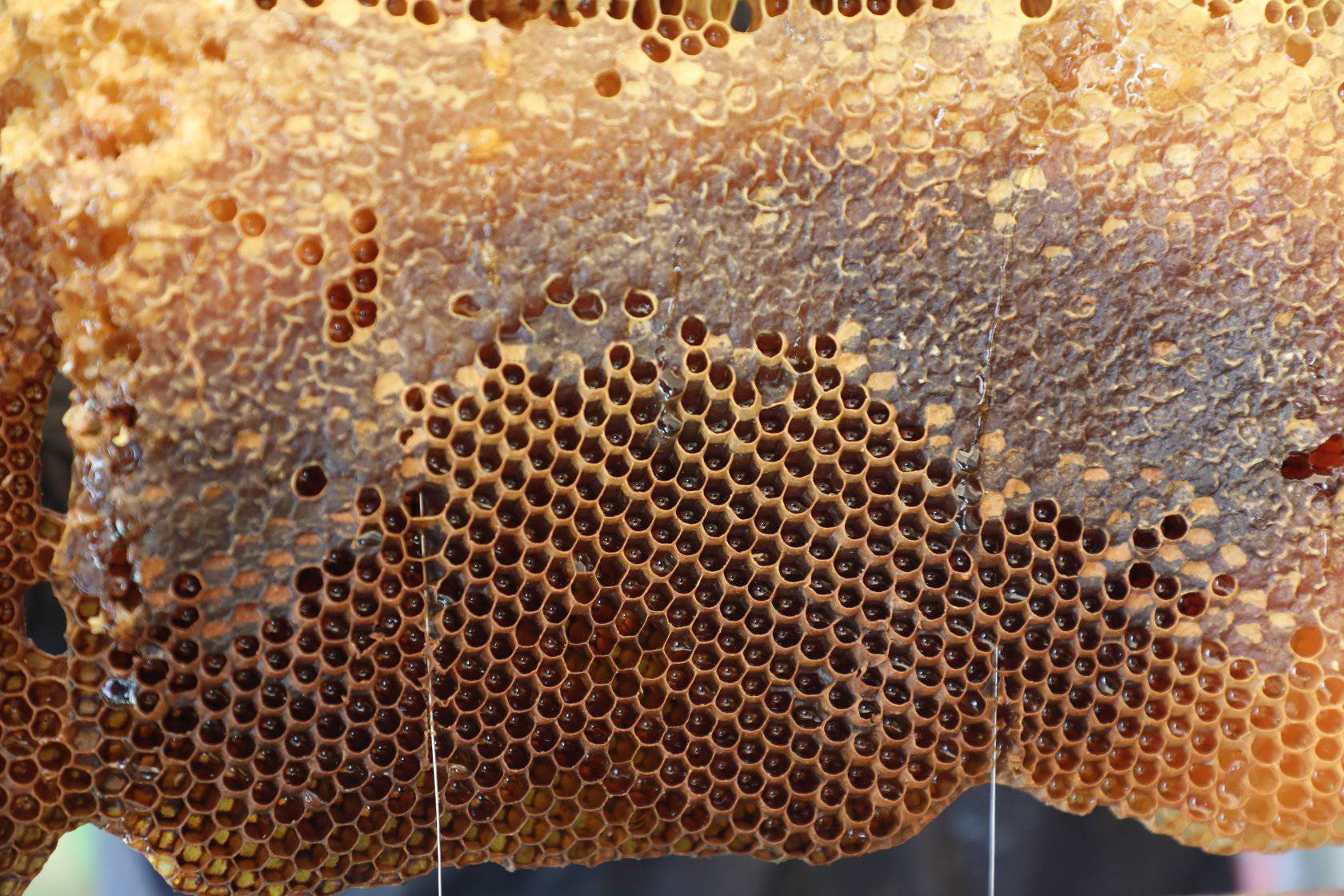 Saint Lalibela and honey