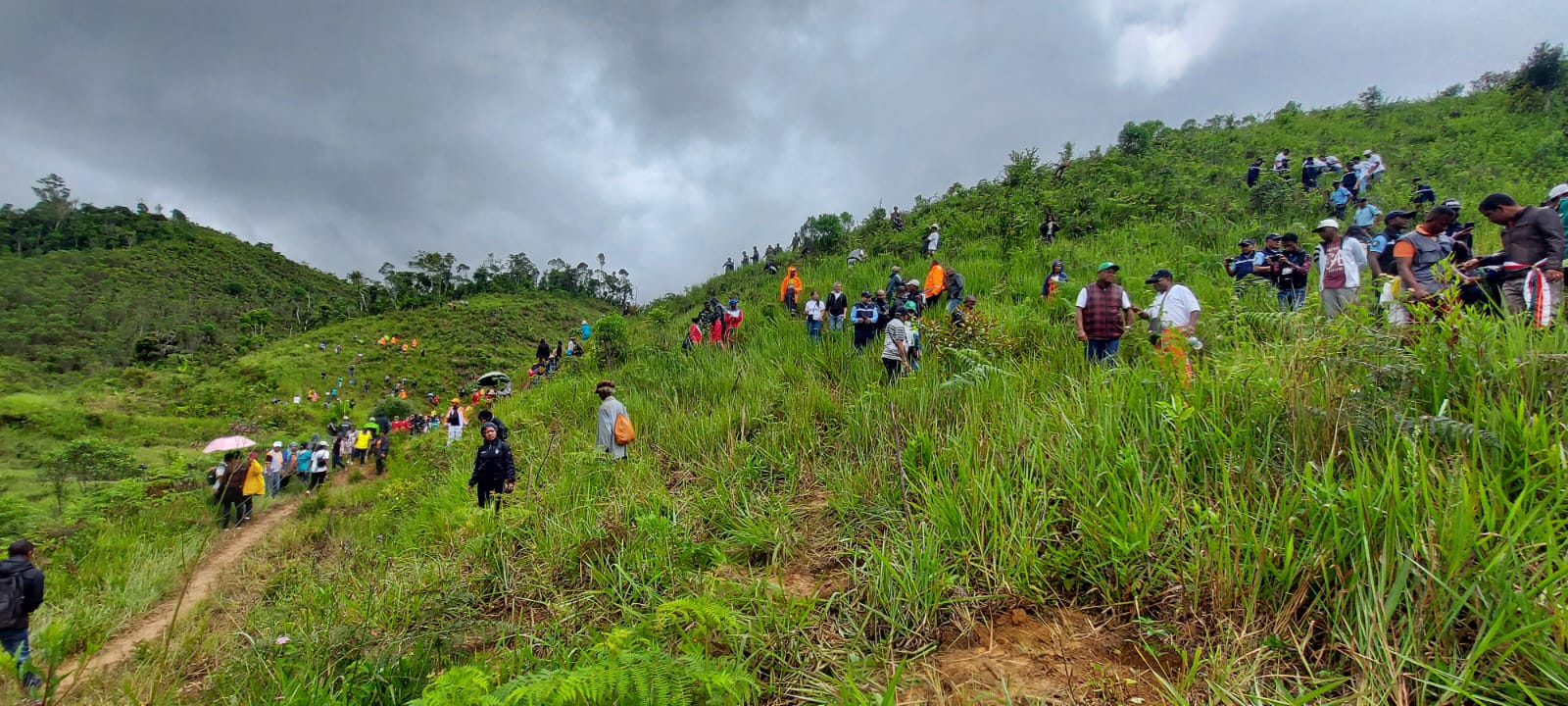 International Day for Wetlands