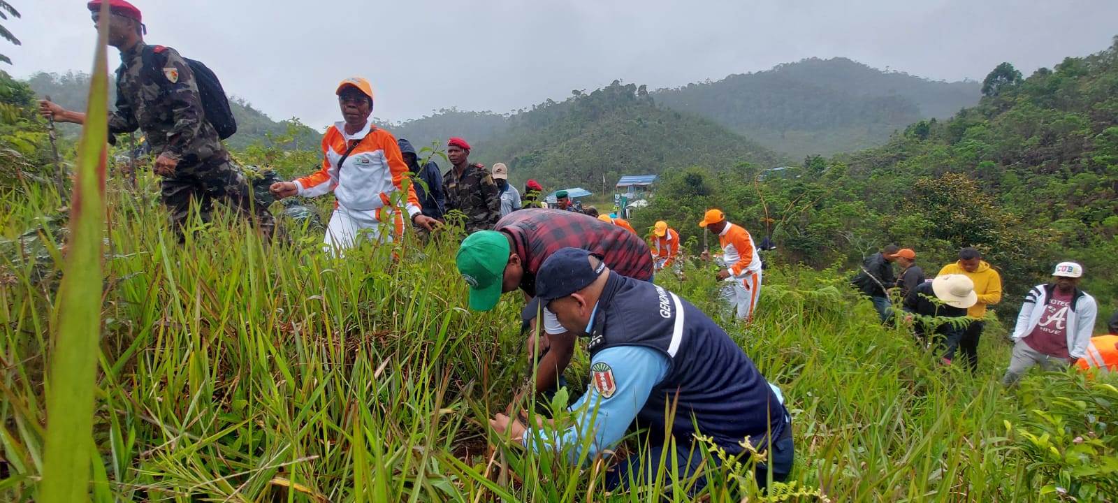 International Day for Wetlands