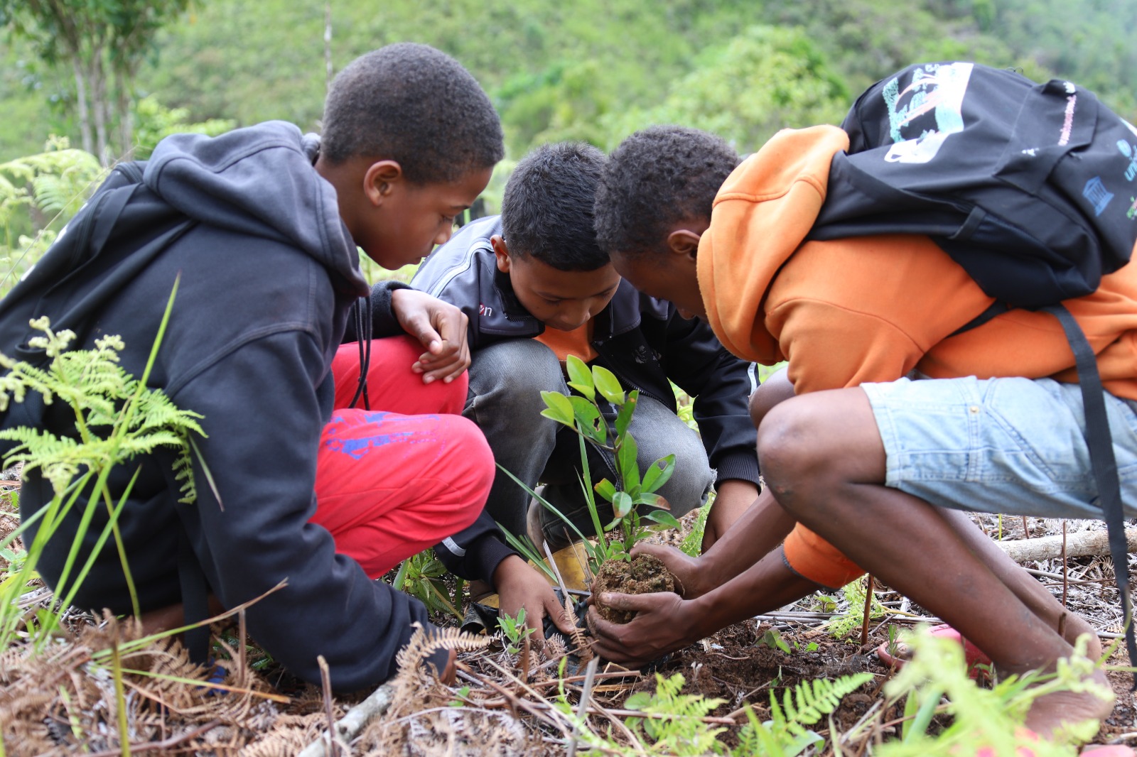 International Day for Wetlands