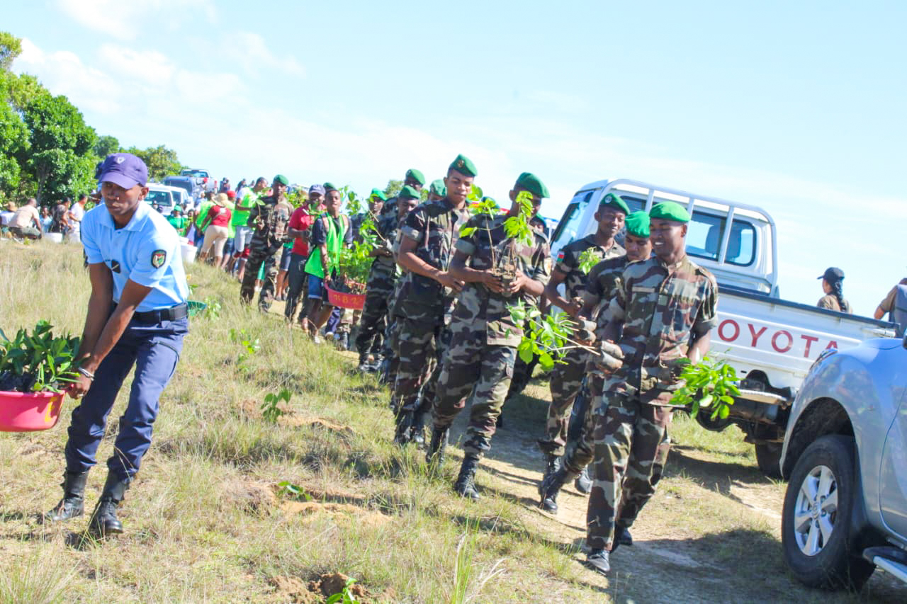 tree planting