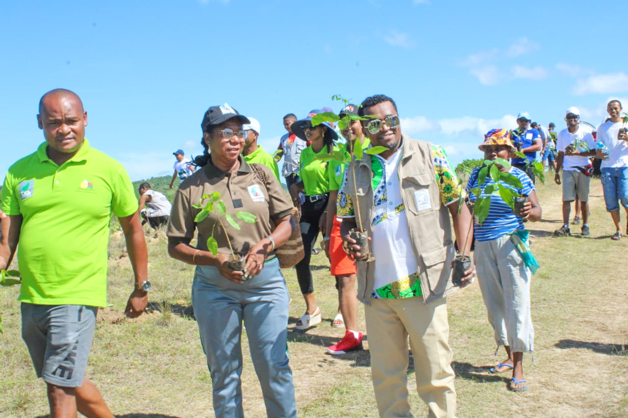 tree planting