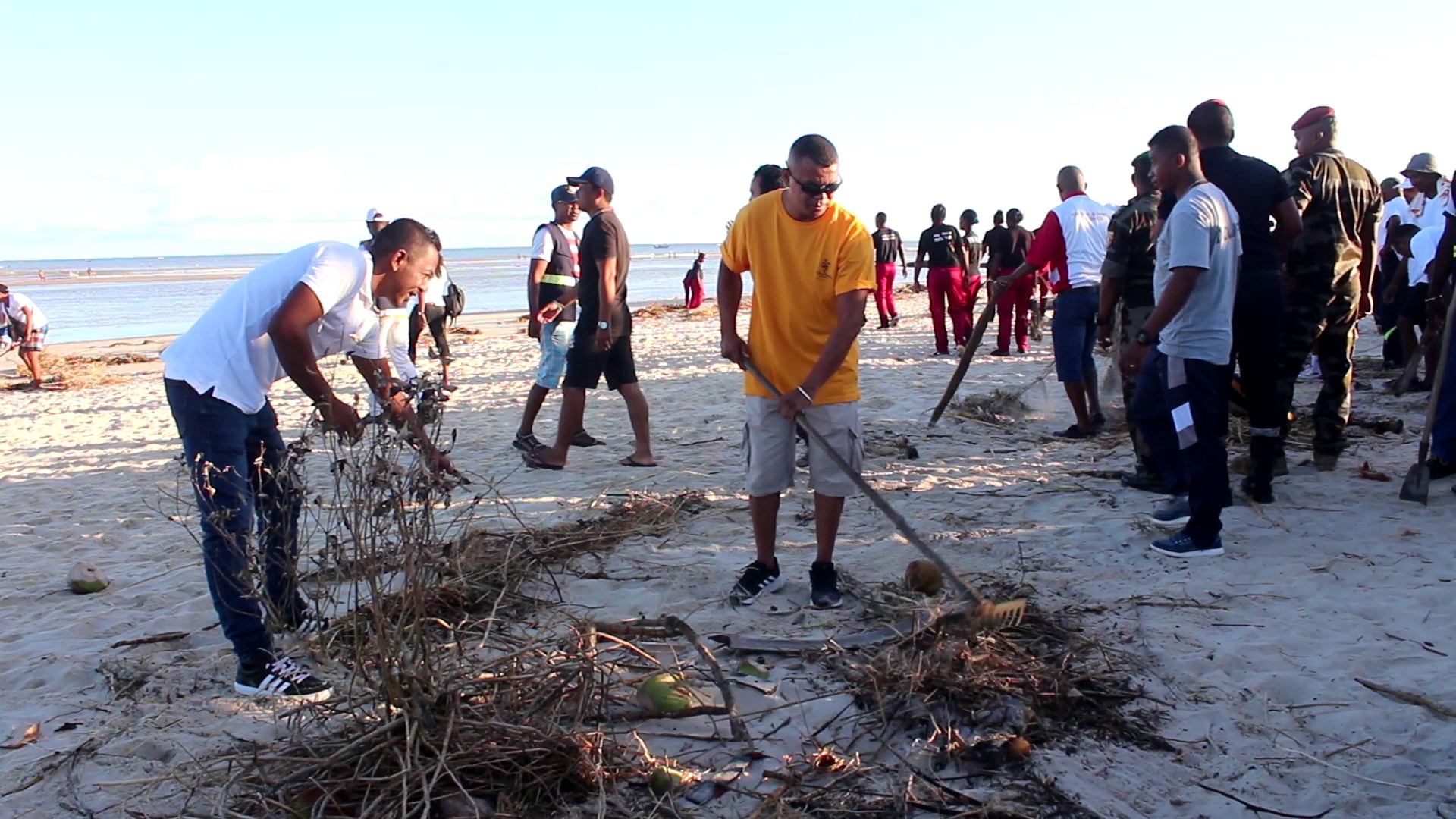 MORONDAVA ECOLOGY