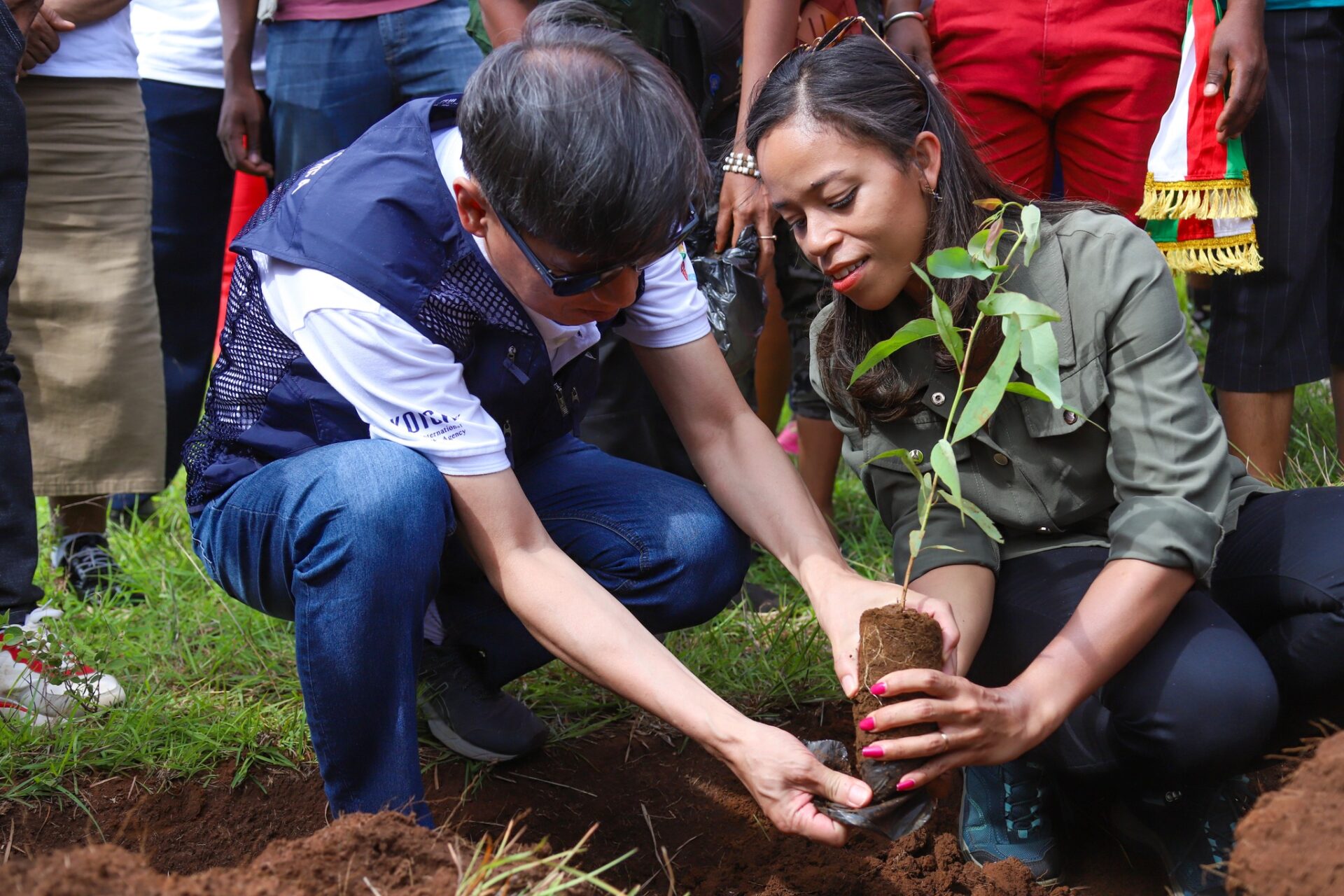 tree planting in Dianna Region