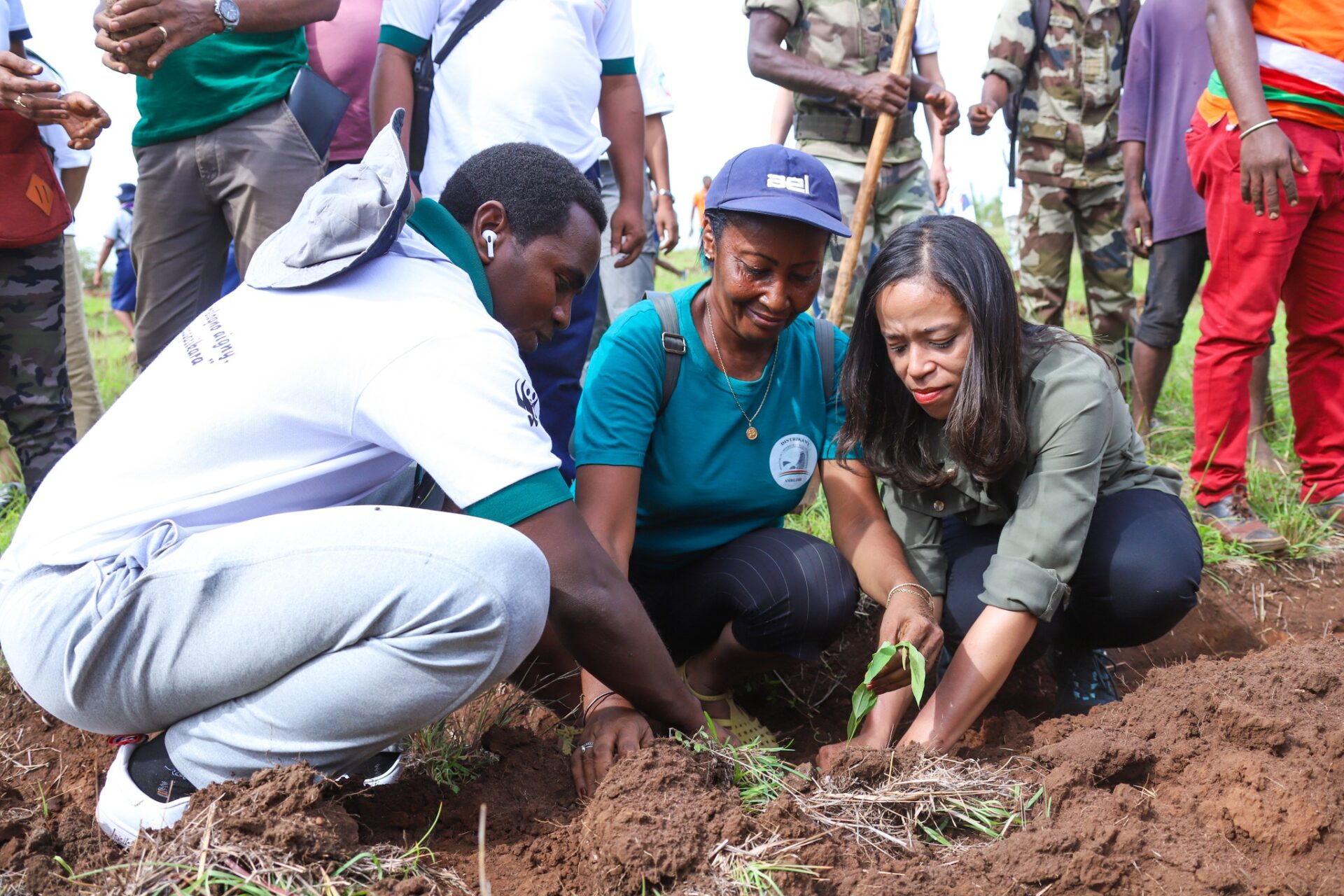 tree planting in Dianna Region