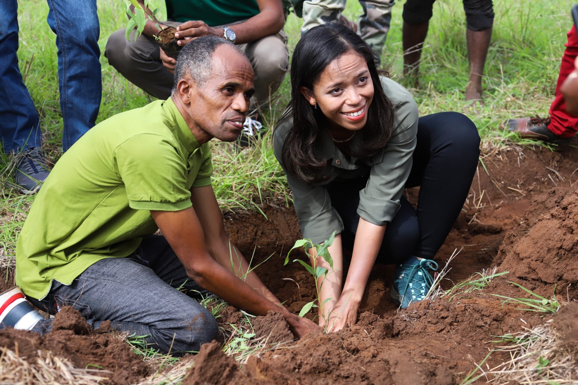 tree planting in Dianna Region