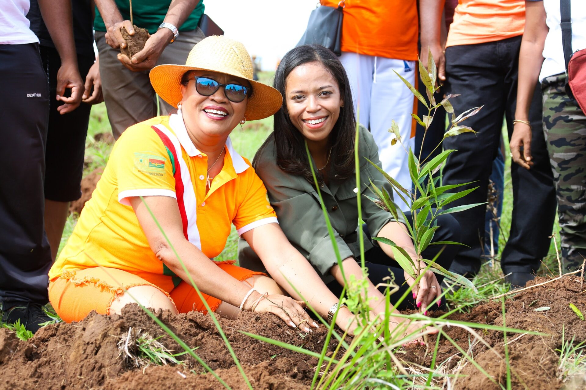 tree planting in Dianna Region