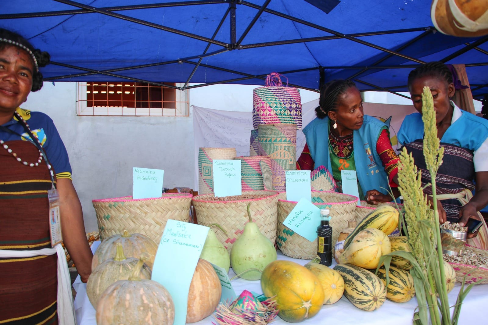 Ambovombe water project