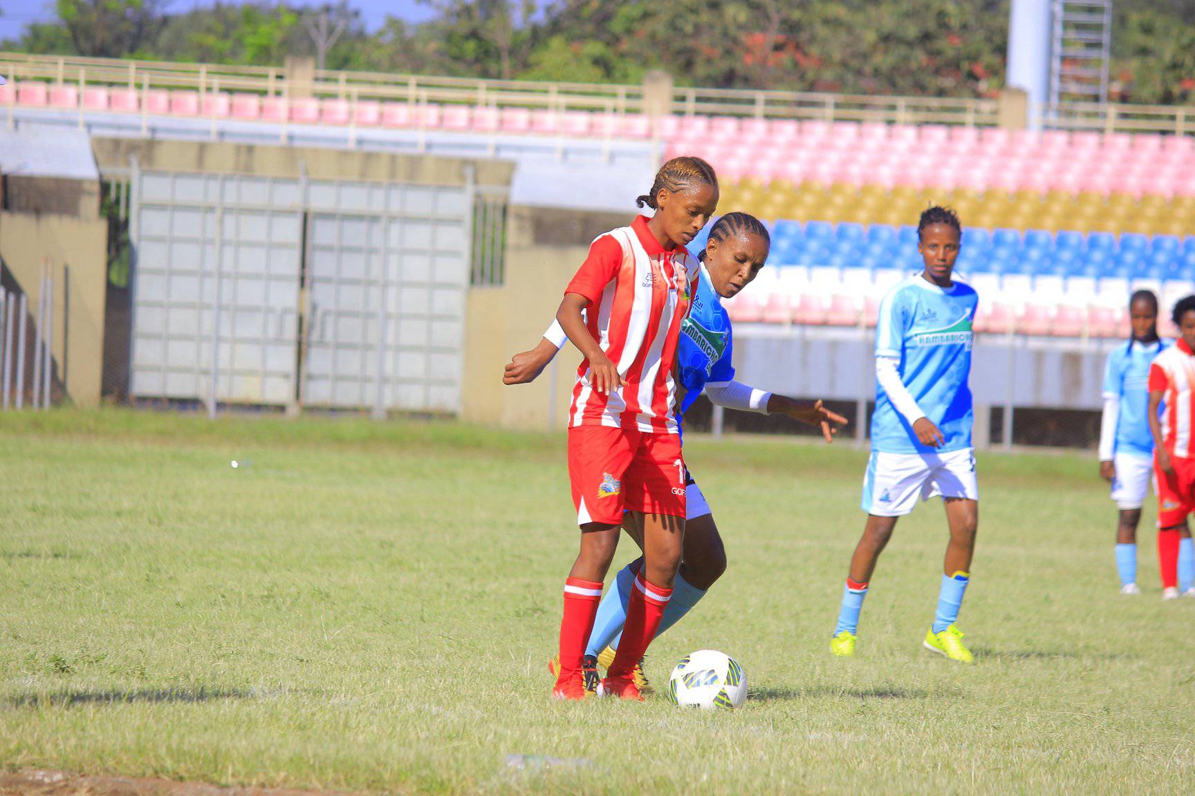 Ethiopian Women's Premier League